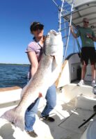 Jetty tarpon, bull reds, sharks, coiba