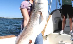 Jetty tarpon, bull reds, sharks, coiba