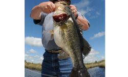 Late Winter Trophy Bassin