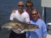 Amelia Island Cobia