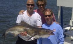 Amelia Island Cobia