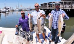 Clear Waters= Big Specks & Reds