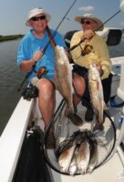 best disguised game fish