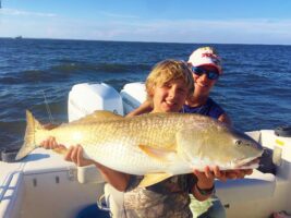 Bull Reds Have Arrived