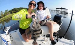 How to Catch Amelia Island Sheepshead