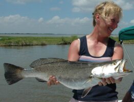 Amelia Island Beach Trout