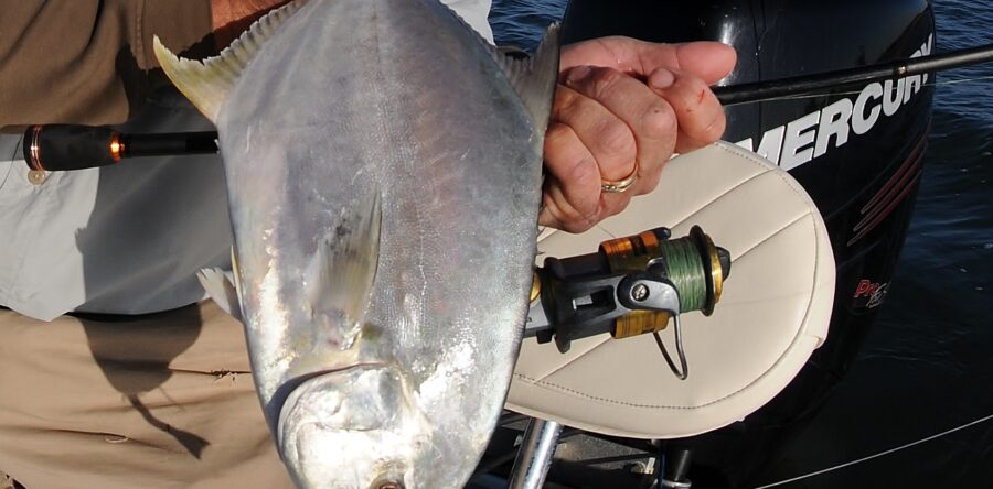Beach Pompano & Cobia