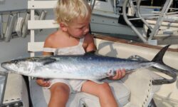 Amelia Island Kingfish