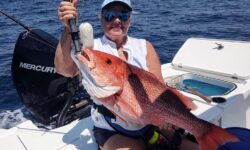 Amelia Island Snapper