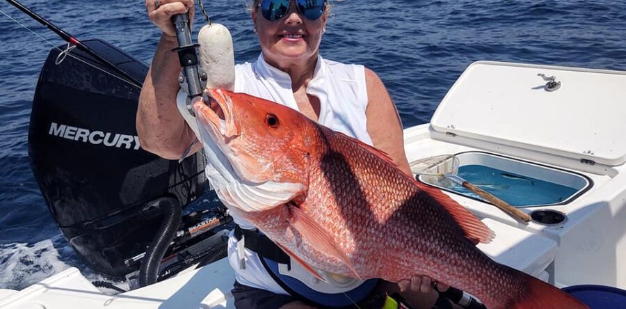 Amelia Island Snapper
